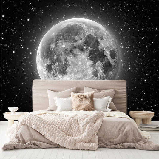 Fotomural Luna llena con estrellas - FM011