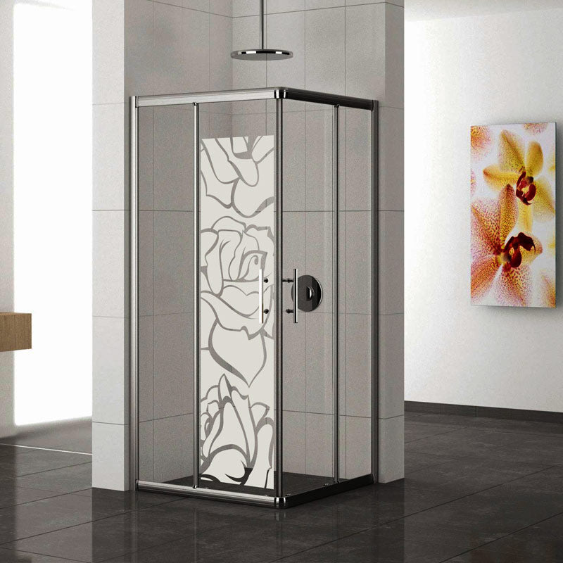 Vinilo Esmerilado 100x60cm  - VE008