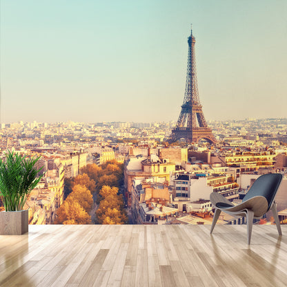 Fotomural Vista de París - VCORP001