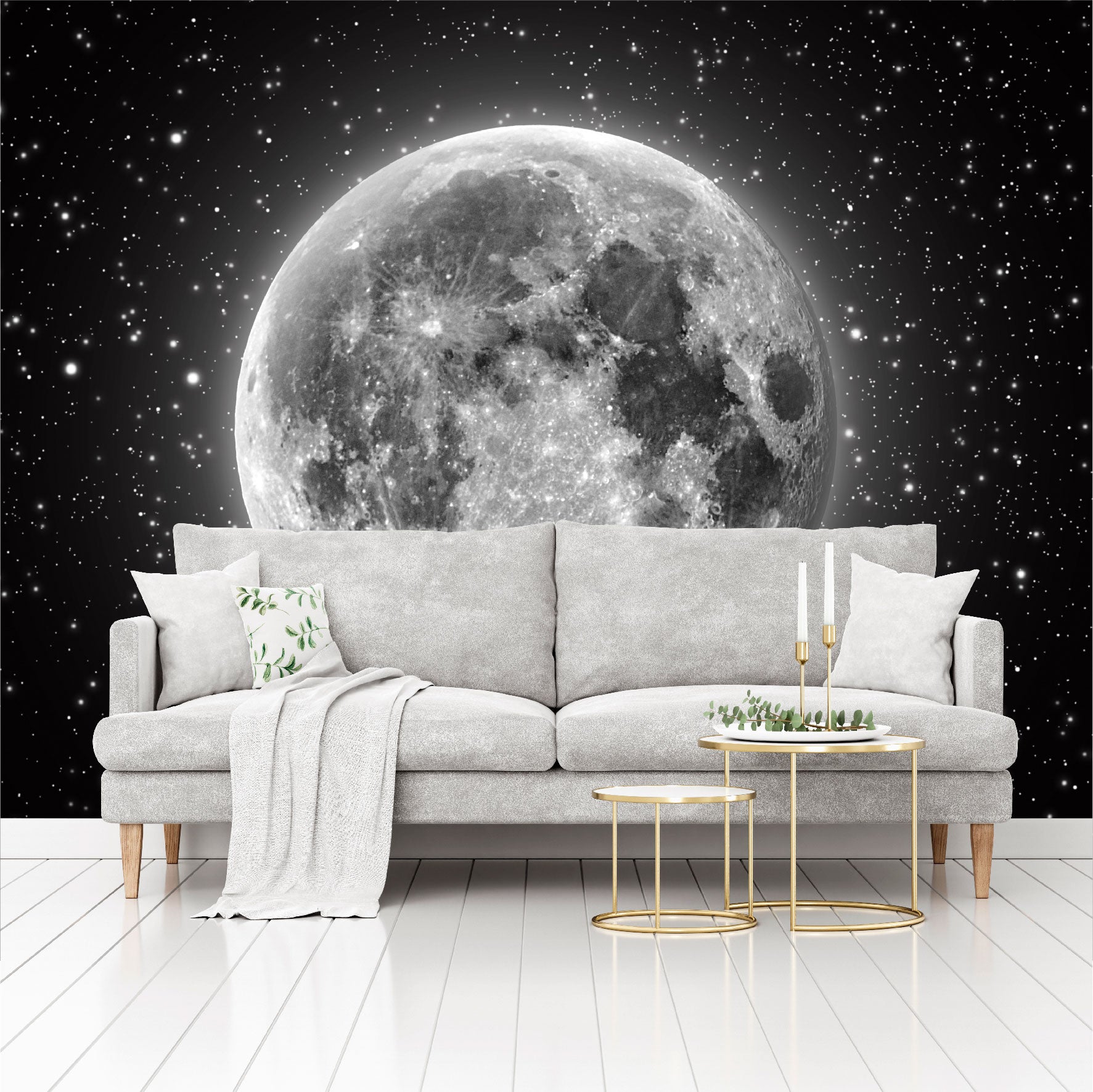 Fotomural Luna llena con estrellas - FM011