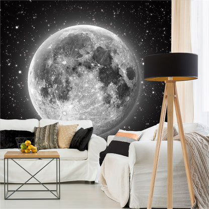 Fotomural Luna llena con estrellas - FM011